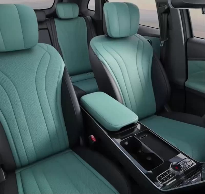 Lepas L8 interior — Dual-tone interior (1)