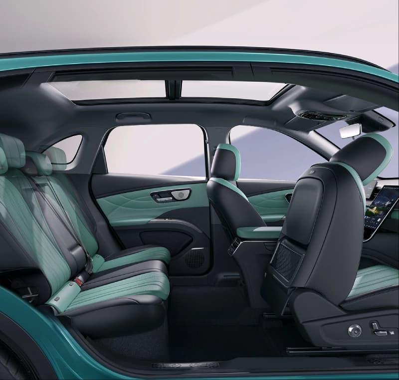 Lepas L8 interior — Dual-tone interior (2)