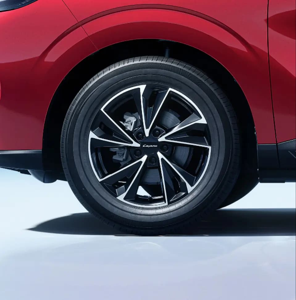 Lepas L4 safety — TYRE PRESSURE MONITORING